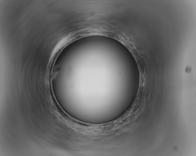 X0000091510004200708171205