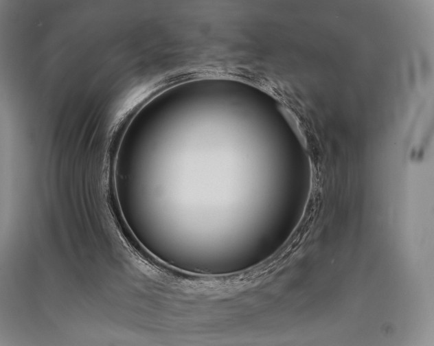 X0000091510005200708171205