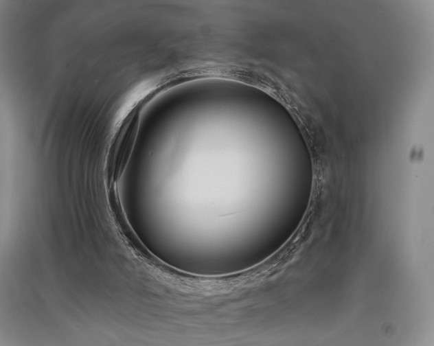 X0000091510006200708171205