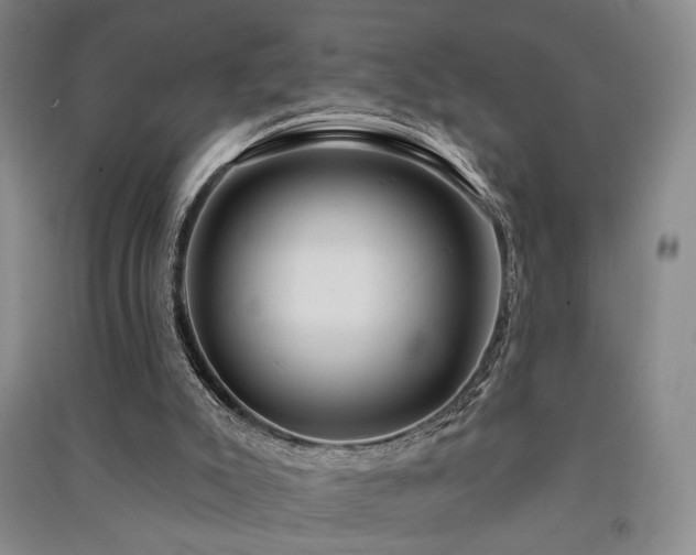 X0000091510007200708171205