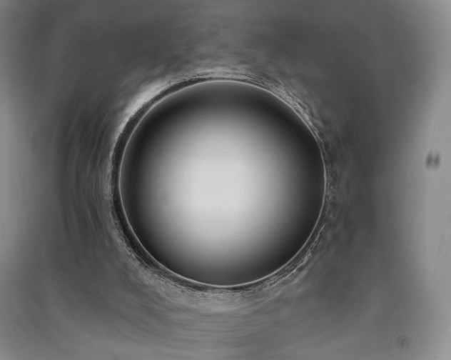 X0000091510008200708171205