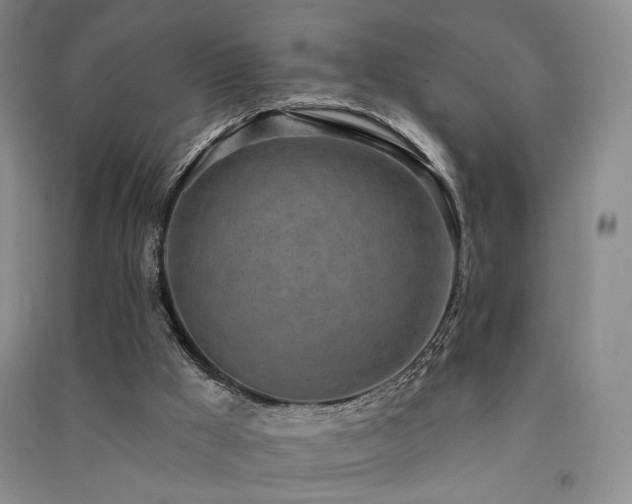 X0000091510009200708171205