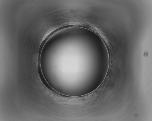 X0000091510011200708171205