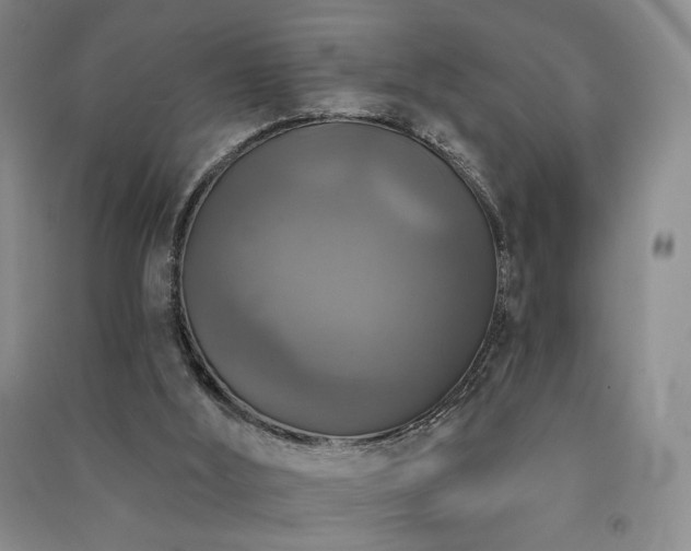 X0000091510012200708171205