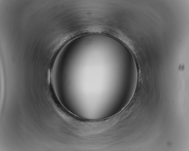 X0000091510013200708171205