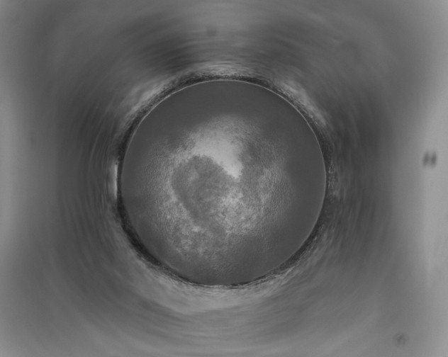 X0000091510014200708171205