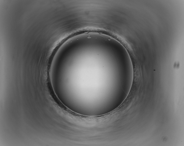X0000091510015200708171205
