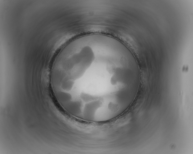 X0000091510016200708171205