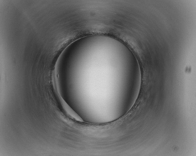 X0000091510017200708171205