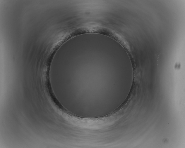X0000091510018200708171205