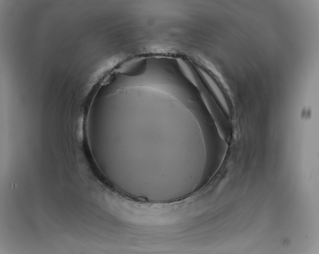 X0000091510019200708171205