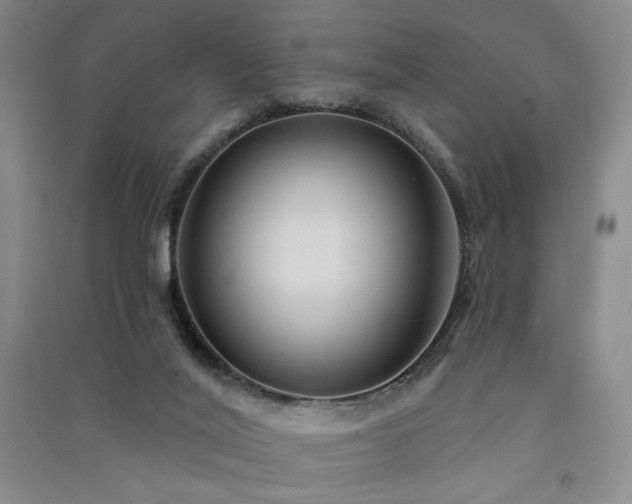 X0000091510020200708171205