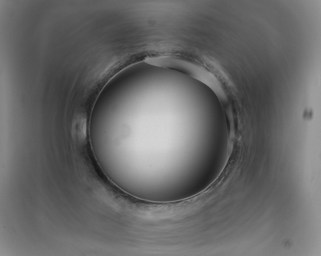 X0000091510021200708171205