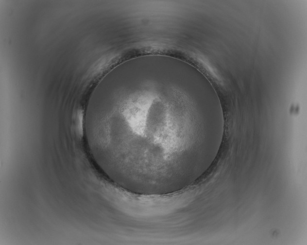 X0000091510022200708171205