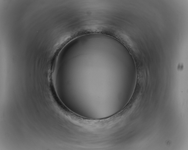 X0000091510023200708171205