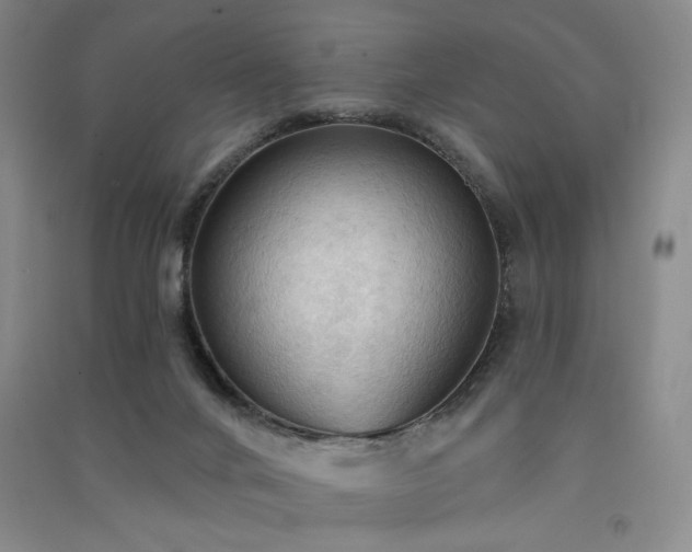 X0000091510024200708171205