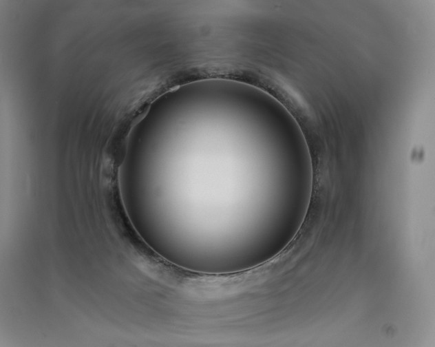 X0000091510025200708171205