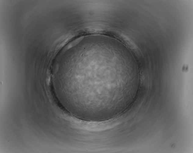X0000091510026200708171205
