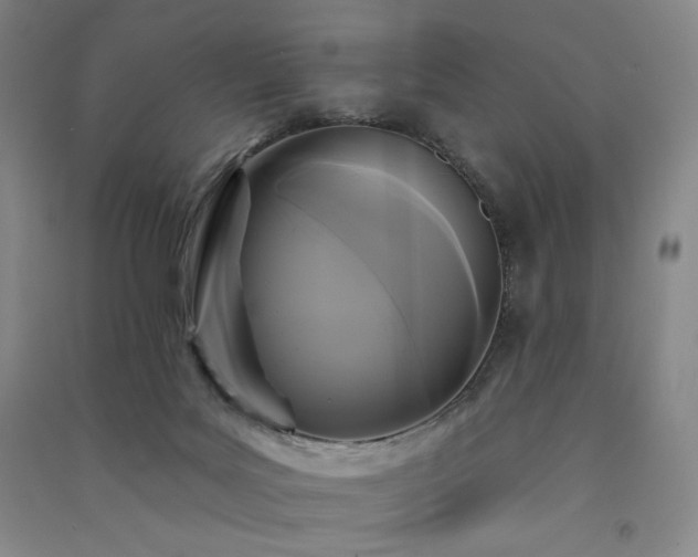 X0000091510027200708171205