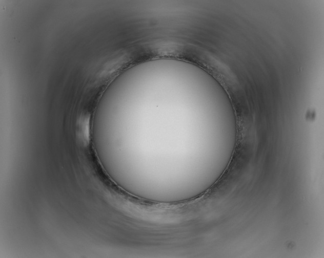 X0000091510028200708171205