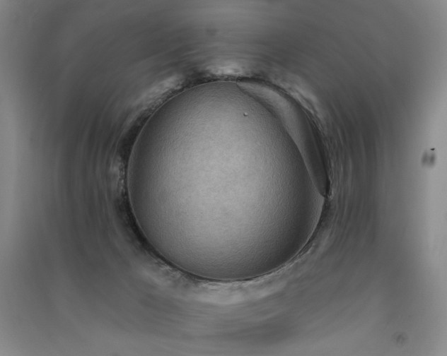 X0000091510029200708171205