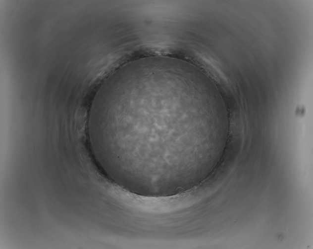 X0000091510030200708171205