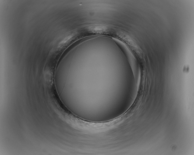X0000091510031200708171205