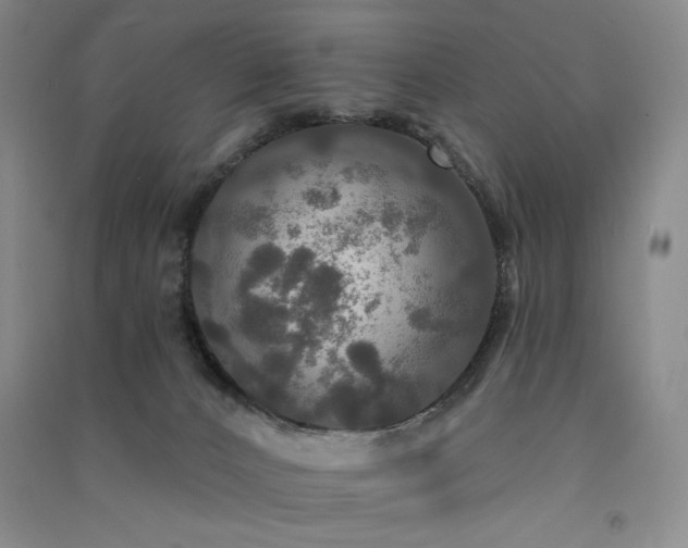 X0000091510032200708171205