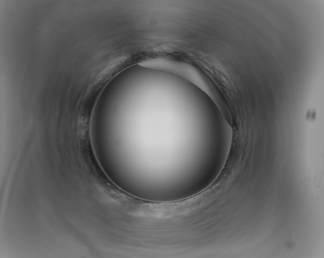 X0000091510033200708171205