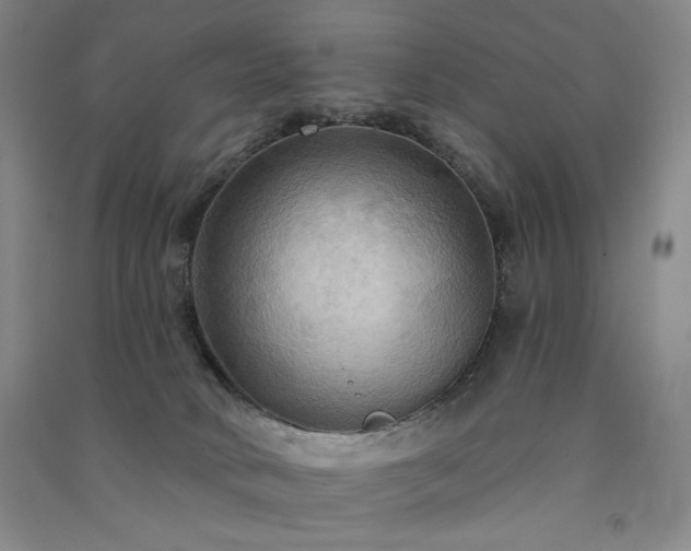 X0000091510034200708171205