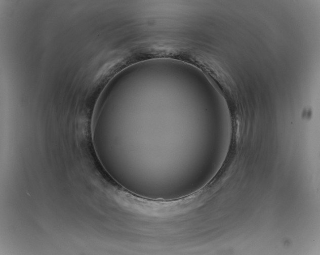 X0000091510035200708171205