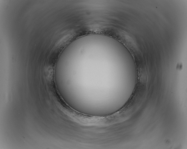 X0000091510036200708171205