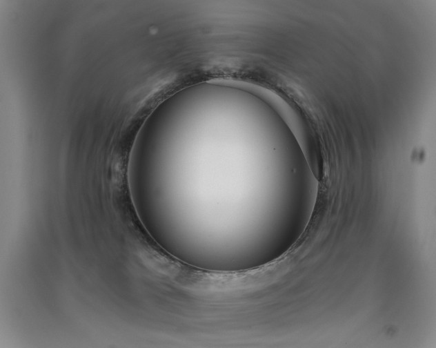 X0000091510037200708171205