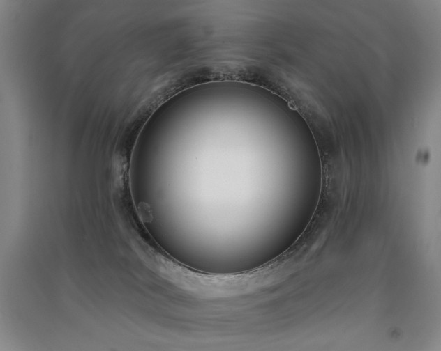 X0000091510038200708171205