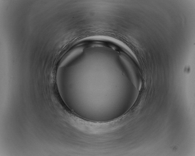 X0000091510039200708171205