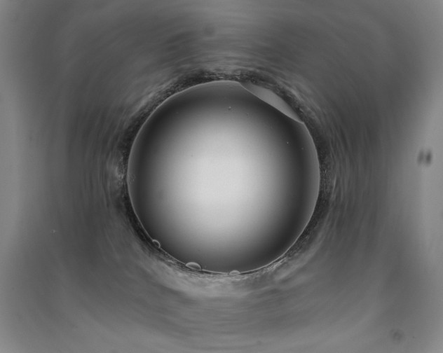 X0000091510040200708171205