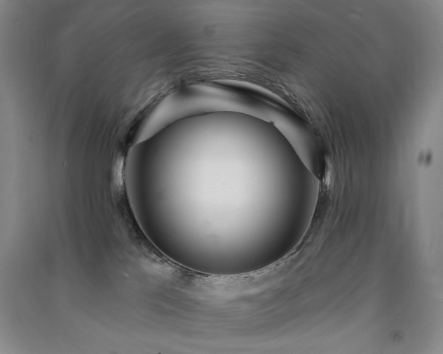 X0000091510041200708171205