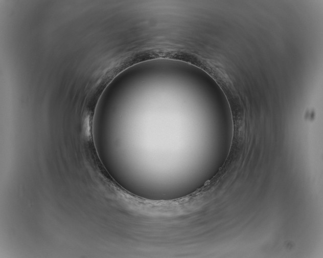 X0000091510042200708171205