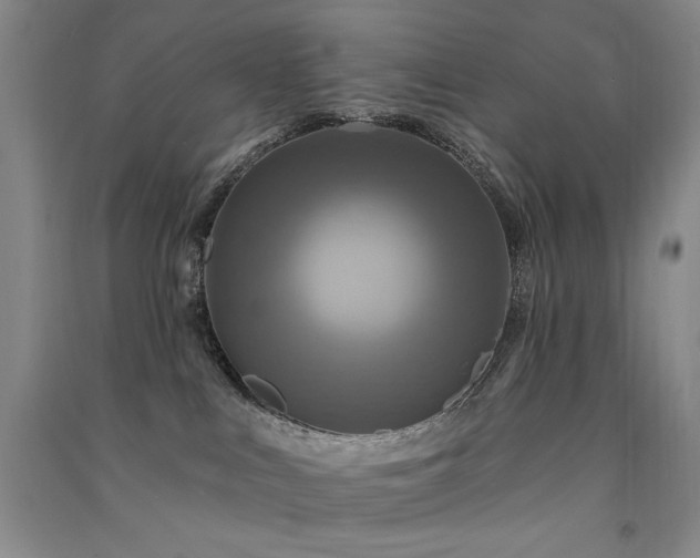 X0000091510043200708171205
