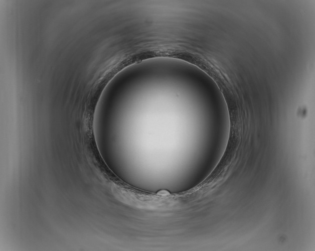 X0000091510044200708171205