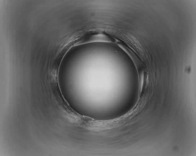 X0000091510045200708171205