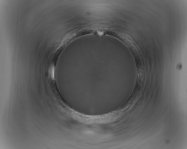 X0000091510046200708171205