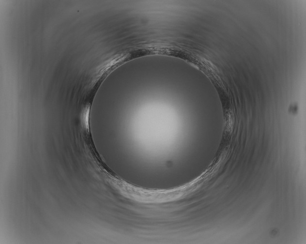 X0000091510047200708171205