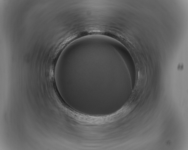 X0000091510048200708171205