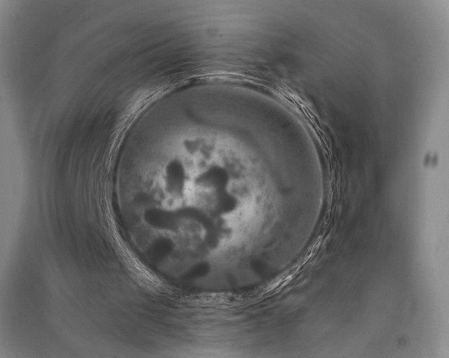 X0000091510049200708171204