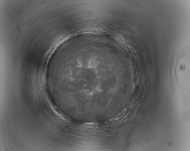 X0000091510050200708171204