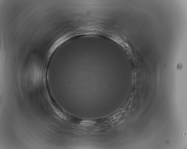X0000091510051200708171204