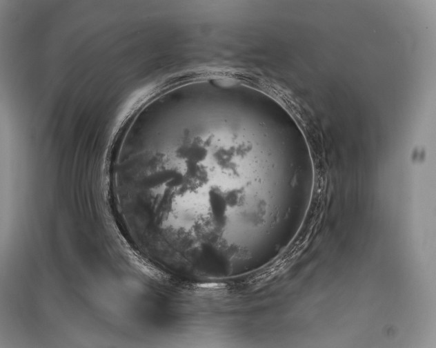 X0000091510053200708171204