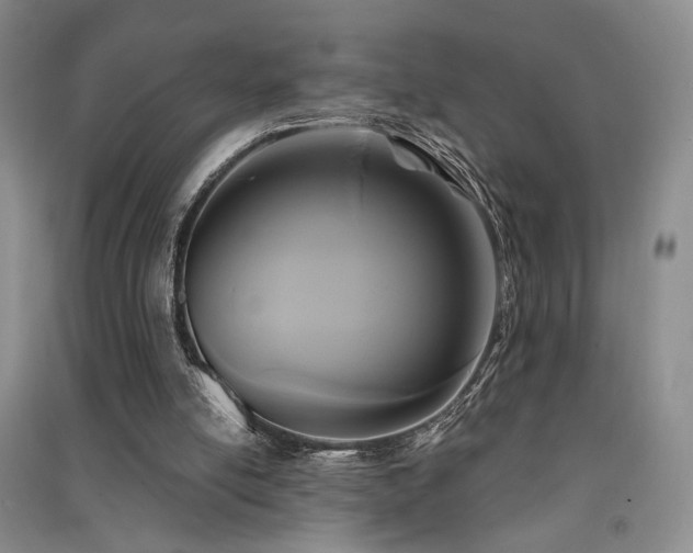 X0000091510054200708171204