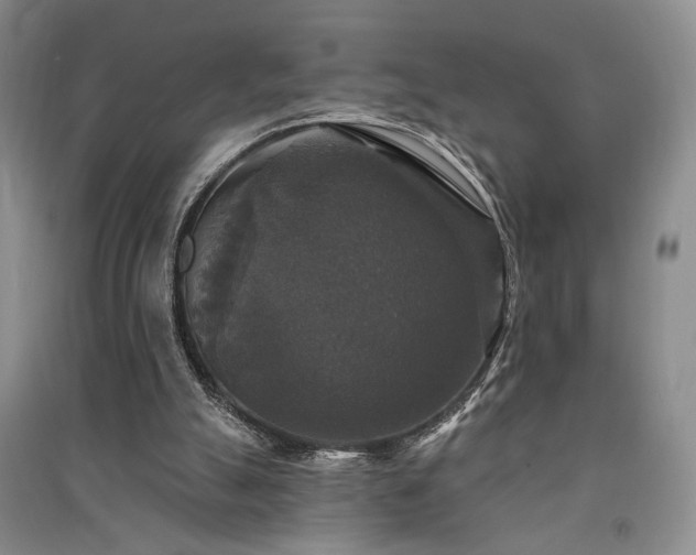 X0000091510055200708171204